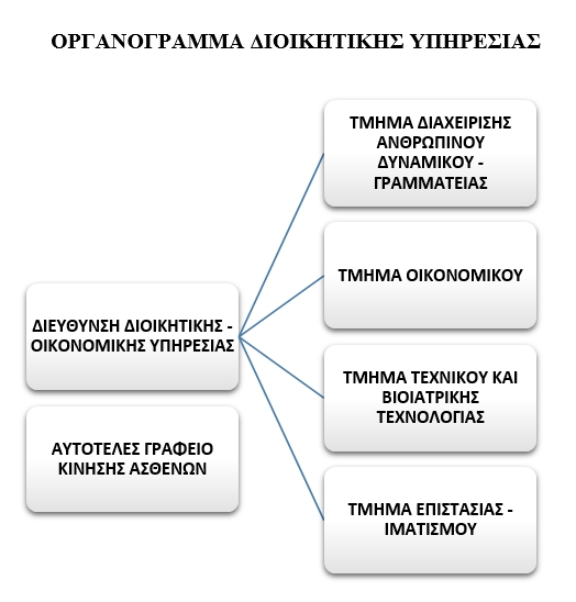 Οργανόγραμμα Διοικητική Υπηρεσία