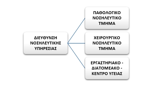 Οργανόγραμμα Νοσηλευτική Υπηρεσία